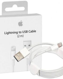 CABLE DATA IPHONE LIGHTNING 2 MTS